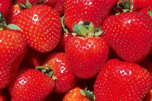 1lb. Fresas Frescas de US 2 por $5