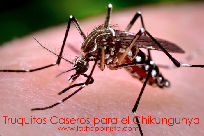 Truquitos Caseros – Chikungunya