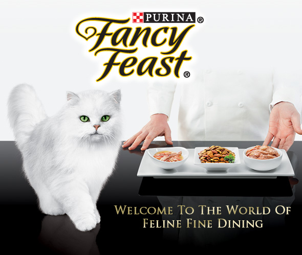 Gratis: Muestra de Comida para Gatos Fancy Feast