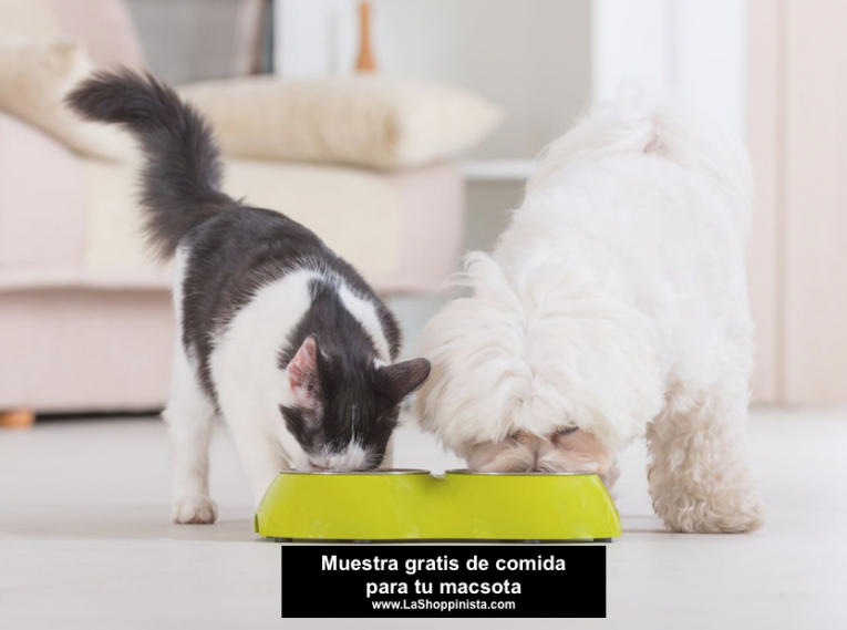 Muestra gratis de comida para tu mascota